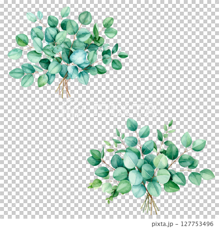 Watercolor leaves on white background 127753496
