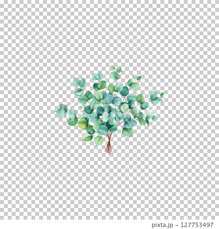 Watercolor leaves on white background 127753497