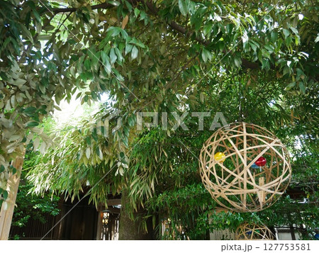 神社の中の緑 127753581