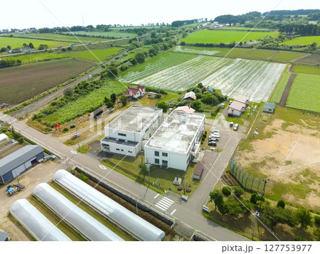 初夏の北海道八雲町で東野小学校の風景を空撮 127753977