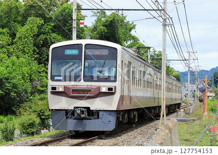 秩父鉄道「緑を背景に走る急行列車」秩父路 127754153