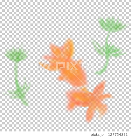 水彩畫金魚的插圖 水彩畫金魚的插圖 127754851