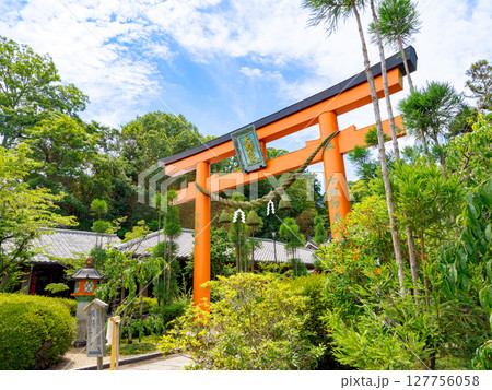【奈良県】奈良市 霊山寺 (2025/06/25撮影) 127756058