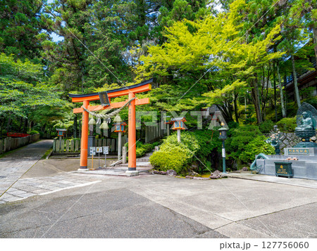 【奈良県】奈良市 霊山寺 (2025/06/25撮影) 127756060