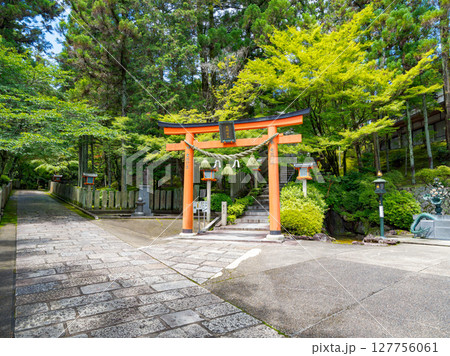 【奈良県】奈良市 霊山寺 (2025/06/25撮影) 127756061
