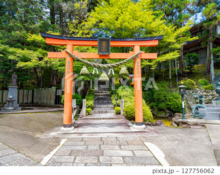 【奈良県】奈良市 霊山寺 (2025/06/25撮影) 127756062