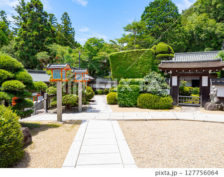 【奈良県】奈良市 霊山寺 (2025/06/25撮影) 127756064