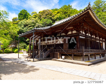 【奈良県】奈良市 霊山寺 (2025/06/25撮影) 【奈良県】奈良市 霊山寺 (2025/06/25撮影) 127756067
