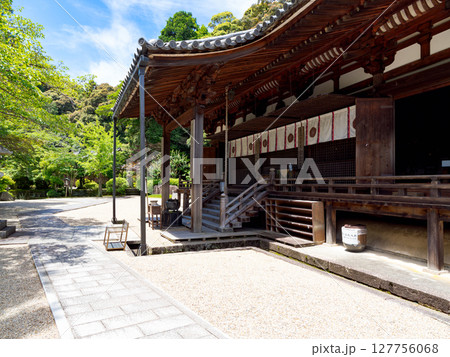 【奈良県】奈良市 霊山寺 (2025/06/25撮影) 【奈良県】奈良市 霊山寺 (2025/06/25撮影) 127756068