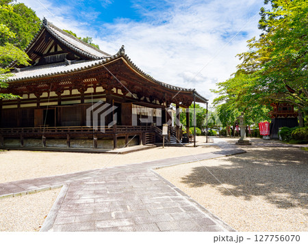 【奈良県】奈良市 霊山寺 (2025/06/25撮影) 127756070