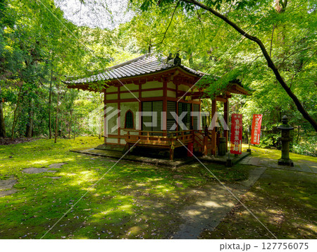 【奈良県】奈良市 霊山寺 (2025/06/25撮影) 127756075