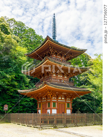 【奈良県】奈良市 霊山寺 (2025/06/25撮影) 【奈良県】奈良市 霊山寺 (2025/06/25撮影) 127756077