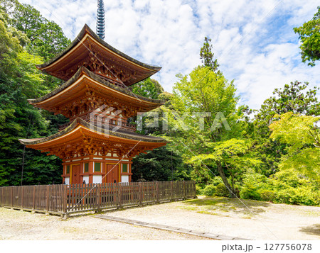 【奈良県】奈良市 霊山寺 (2025/06/25撮影) 【奈良県】奈良市 霊山寺 (2025/06/25撮影) 127756078