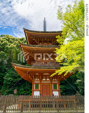 【奈良県】奈良市 霊山寺 (2025/06/25撮影) 【奈良県】奈良市 霊山寺 (2025/06/25撮影) 127756079