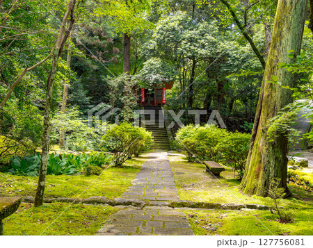 【奈良県】奈良市 霊山寺 (2025/06/25撮影) 127756081