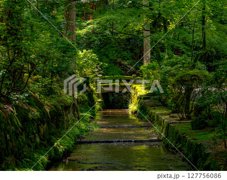【奈良県】奈良市 霊山寺 (2025/06/25撮影) 127756086