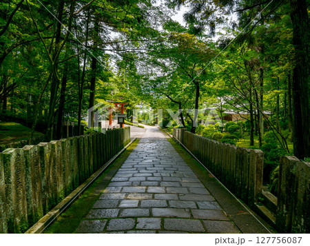 【奈良県】奈良市 霊山寺 (2025/06/25撮影) 127756087
