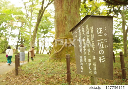 従二位の杉と案内看板 127756125