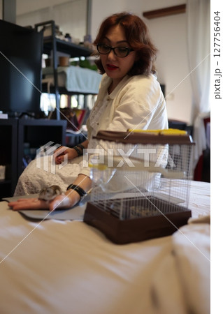 Veterinarian taking care of small rodent in clinic 127756404