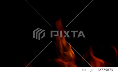 Dynamic Flames Dancing Vividly Against a Rich, Deep Black Background Creating a Striking Contrast 127756731