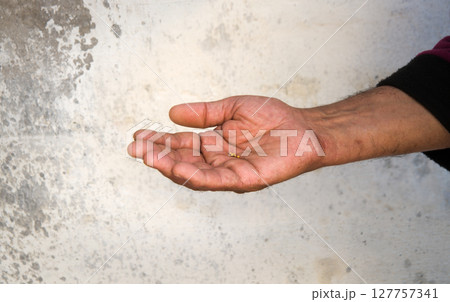 Small mustard seeds in the hand Small mustard seeds in the hand 127757341