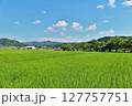 夏の青空と田んぼ 127757751