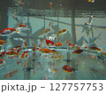 水槽の中で泳ぐ金魚 127757753