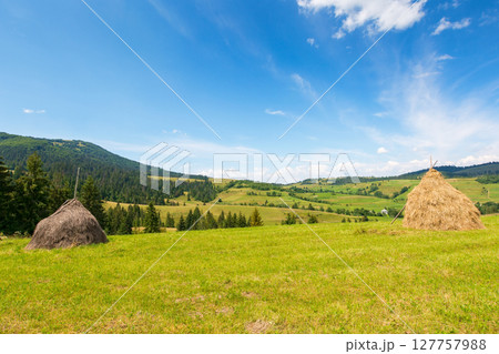 rural landscape in summer. wonderful sunny weather. countryside scenery with haystack on the field beneath a blue sky with clouds. carpathian village in the distance rural landscape in summer. wonderful sunny weather. countryside scenery with haystack on the field beneath a blue sky with clouds. carpathian village in the distance 127757988