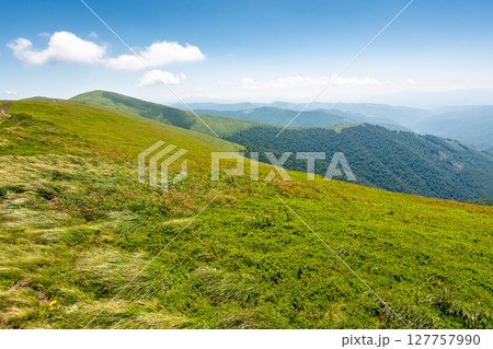green meadow in mountain with clouds on the sky. alpine adventure. nature landscape of ukraine carpathians in summer. great travel scenery of transcarpathia. scenic view of hills rolling in to horizon green meadow in mountain with clouds on the sky. alpine adventure. nature landscape of ukraine carpathians in summer. great travel scenery of transcarpathia. scenic view of hills rolling in to horizon 127757990
