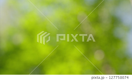 Explore the benefits of Vibrant Green Nature Backgrounds, perfect for relaxation and inspiration Explore the benefits of Vibrant Green Nature Backgrounds, perfect for relaxation and inspiration 127758074
