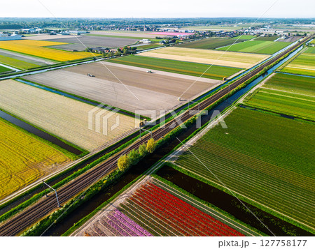 A vibrant aerial view of colorful tulip fields in full bloom, arranged in neat rows. The bright stripes of yellow, red, pink, and purple flowers stretch across the Dutch countryside. Railway. A vibrant aerial view of colorful tulip fields in full bloom, arranged in neat rows. The bright stripes of yellow, red, pink, and purple flowers stretch across the Dutch countryside. Railway. 127758177