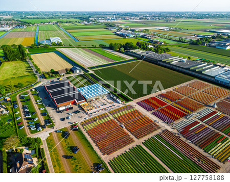 Aerial footage of a vibrant flower farm with colorful tulip rows, greenhouses, parking lots, and surrounding agricultural fields, set in a wide Dutch countryside landscape. Aerial footage of a vibrant flower farm with colorful tulip rows, greenhouses, parking lots, and surrounding agricultural fields, set in a wide Dutch countryside landscape. 127758188
