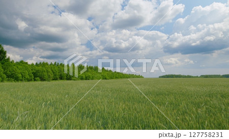 A Lush Green Field Spread Out Under a Dynamic and EverChanging Cloudy Sky Above 127758231