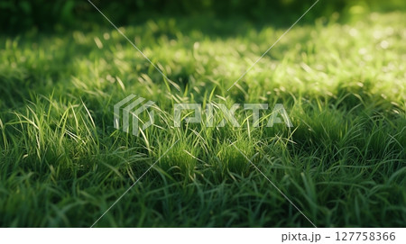 Green grass texture garden park nature home field gardening nature environment 127758366