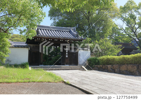 四国霊場第84番札所「屋島寺」本坊 四国霊場第84番札所「屋島寺」本坊 127758499