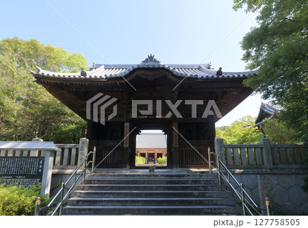 四国霊場第84番札所「屋島寺」四天門から本堂を見る（中央にねこ） 127758505
