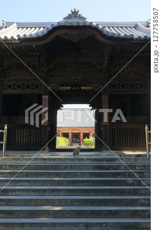 国霊場第84番札所「屋島寺」四天門から本堂を見る（中央にねこ） 127758507