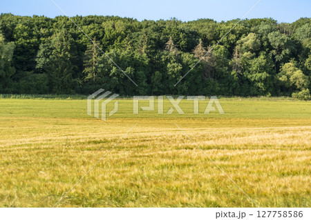 Countryside landscape with sky and fields, real life photo Countryside landscape with sky and fields, real life photo 127758586