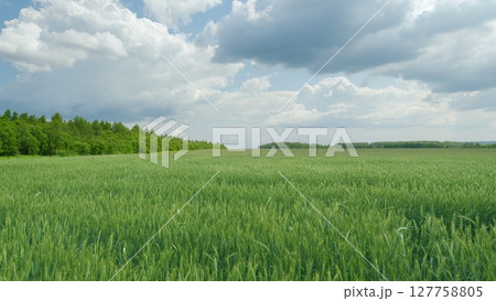 Lush Green Fields Stretching Out Beneath a Dramatic and Expansive Sky Filled with White Clouds Lush Green Fields Stretching Out Beneath a Dramatic and Expansive Sky Filled with White Clouds 127758805