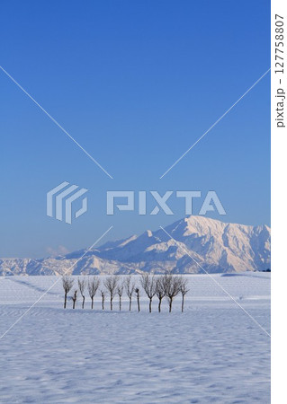 雪原のハサ木・越後三山雪景色 雪原のハサ木・越後三山雪景色 127758807