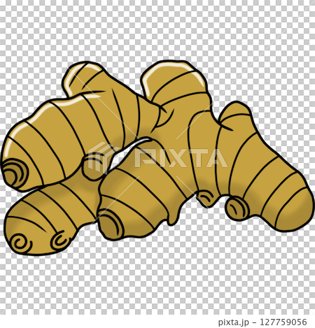 Ginger Ginger 127759056