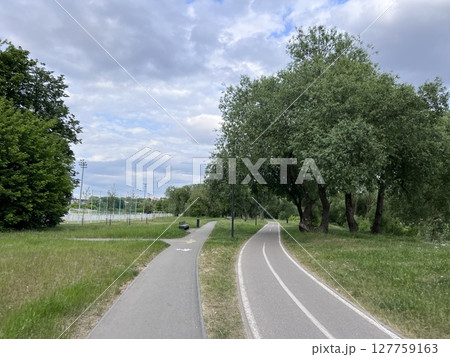 bike road in a spring forest valley 127759163