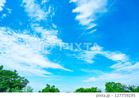 青空と雲と木立 127759295
