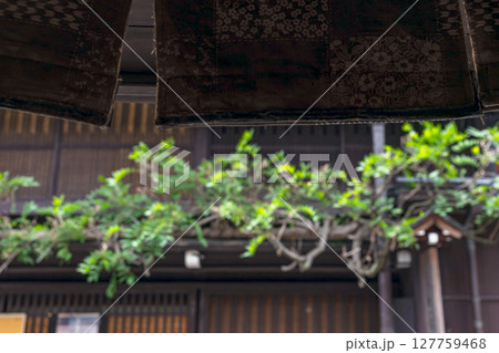 250521さんまちz010 250521さんまちz010 127759468