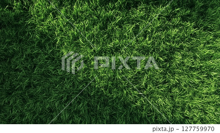 Grass texture garden park nature field nature environment 127759970