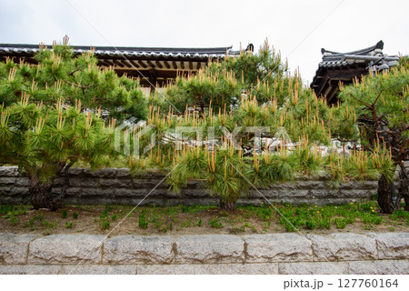 Namsangol Hanok Village traditional public park in Seoul, capital of South Korea Namsangol Hanok Village traditional public park in Seoul, capital of South Korea 127760164