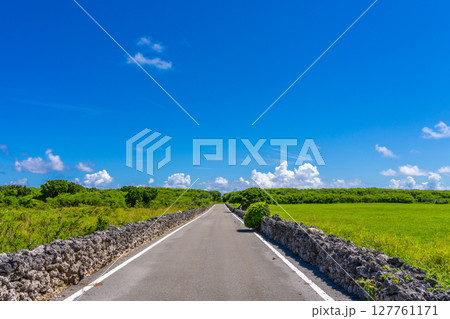 ガジュマルハートのある黒島 127761171