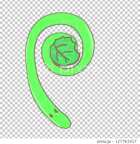 R: More fairy-tale vegetables ☆ fern ② 127761917