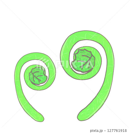 R:もっとメルヘンな野菜☆ぜんまい③ 127761918