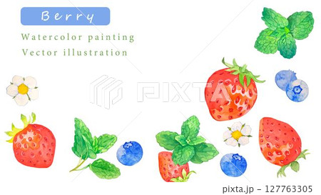 水彩で描いたベリーのベクターイラスト 127763305